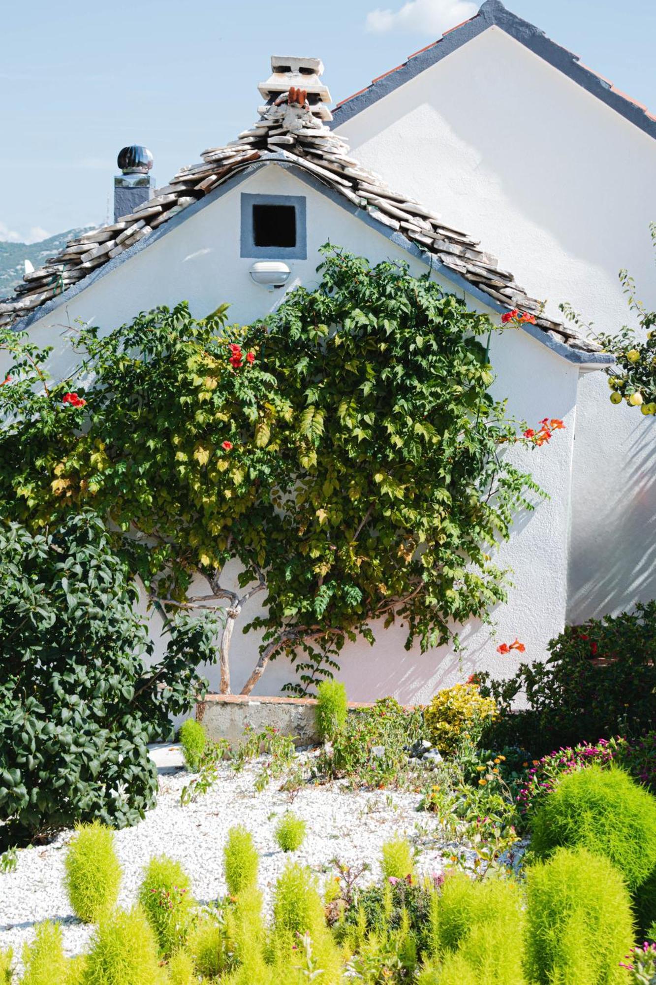 House Camellia With Fenced Pool And Playground